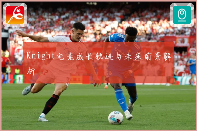 Knight电竞成长轨迹与未来前景解析
